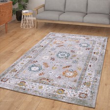 Salon Tapis Poils Ras Design Oriental Vintage Avec Bordure