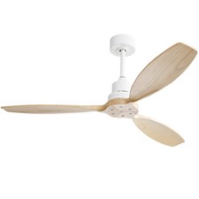 Ventilateur de Plafond Moderne