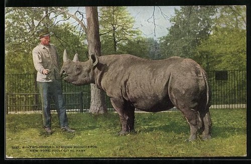 Carte postale new - carte,