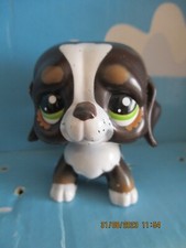 PETSHOP CHIEN SAINT-BERNARD