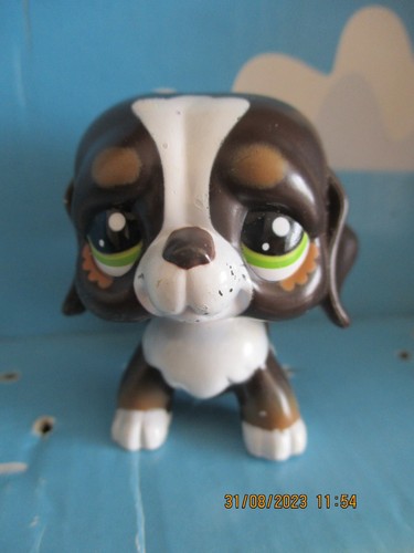 Petshop chien saint - petshop, saint-bernard