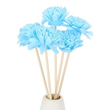 5Pcs Bâtons de diffuseur