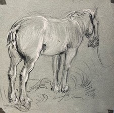 Tableau étude Cheval attr