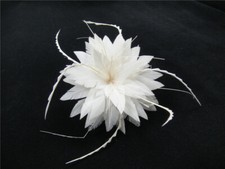 Fascinateur De Chapeau En