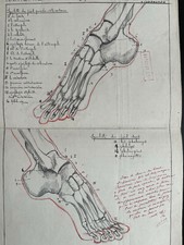 Rare dessin original grand