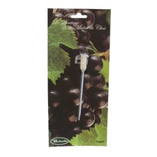 DUHALLE - Vinomètre