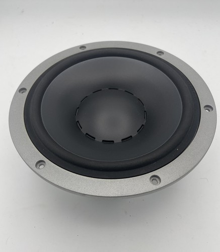 Dynaudio mid bass - dynaudio, audience