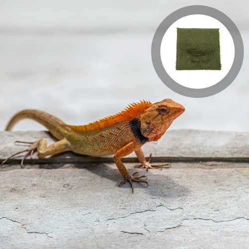 Tapis reptile pour - pour, reptiles