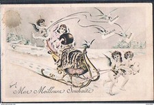 C096 VIENNE Style a/s LACROIX ANGES ANGELOTS FEMME TRAINEAU LUGE SLEDGE COLOMBES