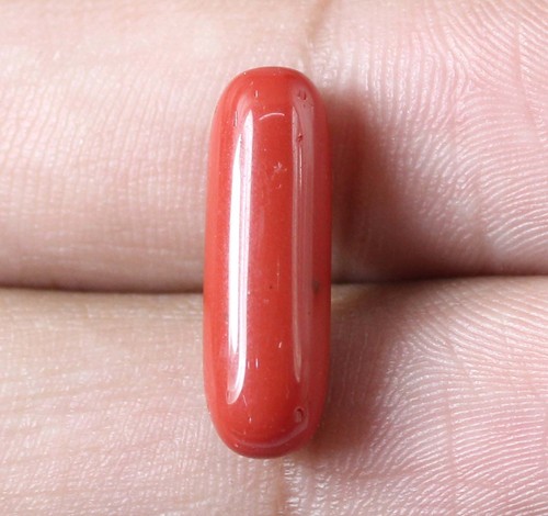 Corail rouge naturel - rouge,
