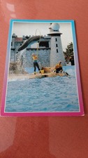 Carte Postale Du Marineland