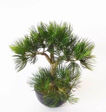 Bonsai Pin artificiel H 33 cm