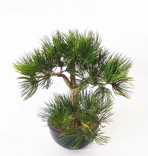 Bonsai pin artificiel - bonsai, 33