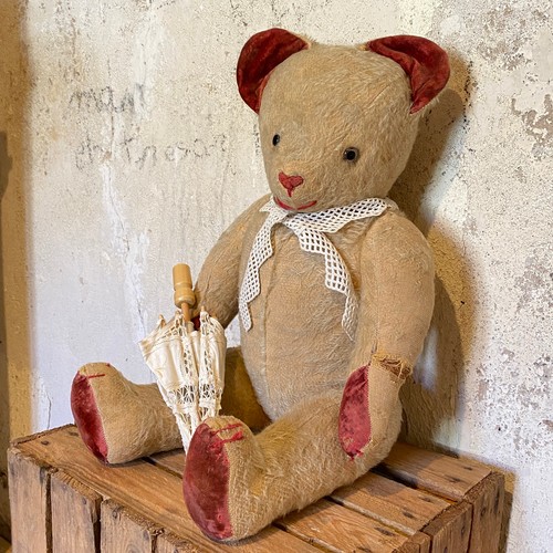 Ancien ours peluche beige - ancien,