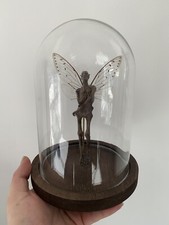 Cabinet de curiosités