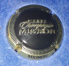 Capsule de champagne Pierre