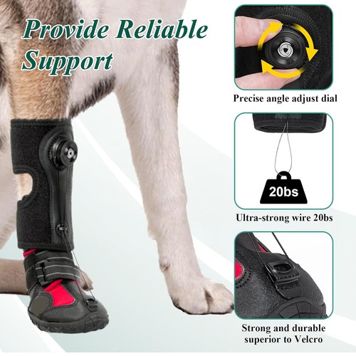 Chausson pour chien - pour,