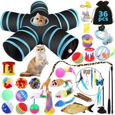 Jouets Chat,36pcs Jouet pour