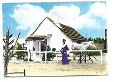 13  CAMARGUE  CABANE DE GARDIANS