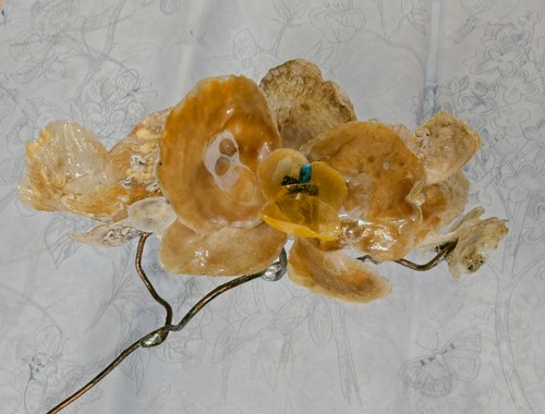 Orchidées orange - orange, en