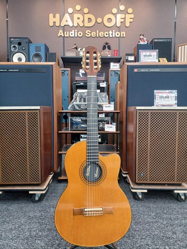 Gibson usa chet atkins elegat - gibson,