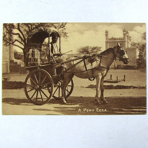 Cpa inde pony ecca c1915 - cpa,