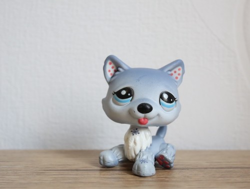 Littlest petshop husky 1617 - husky, #1617