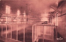 17 ILE D OLERON MAISON