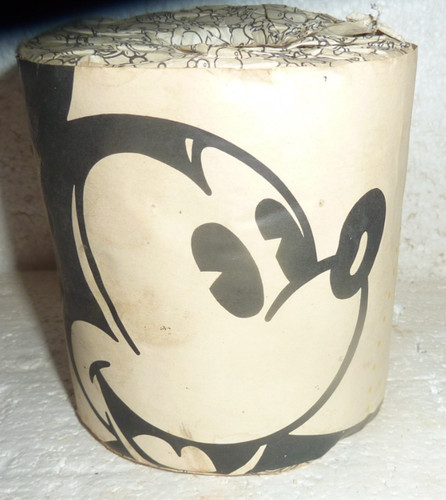 Walt disney resorts white - walt,
