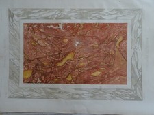 LITHO DECO MARBRE MARQUETERIE
