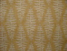 Botanique Fougère Feuille