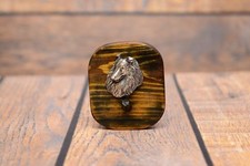 Collie long poil cintre - -,