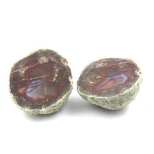 Lithophyse. 205.5 ct. Massif