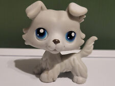 LPS #363 LITTLEST PETSHOP