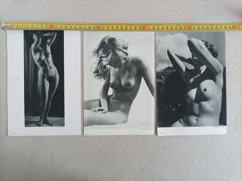 Féminin étude - 3, nu