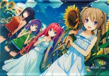 Aokana : ensemble de