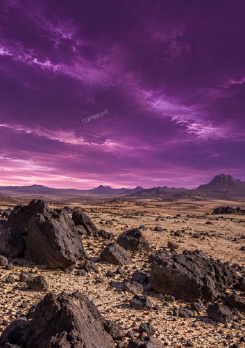 Art print desert - art,