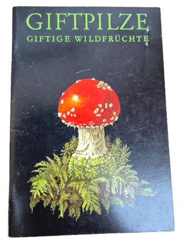 Champignons vénéneux fruits - champignons,