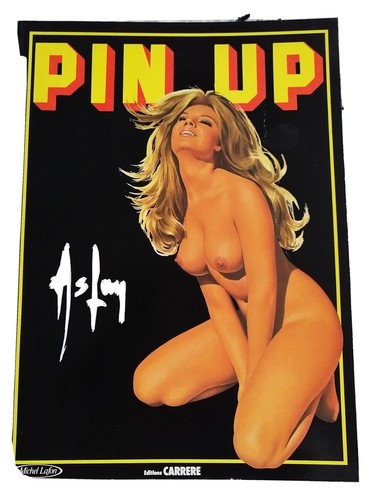 Livre pin aslan editions - livre,