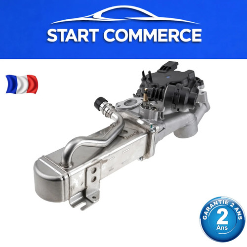 Vanne egr pour citroën iii - egr, c5