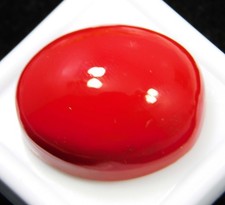 Cabochon de corail rouge