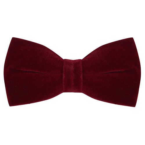 Nœud papillon velours - nœud,