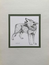 Horst Dumann Dessin Au Crayon