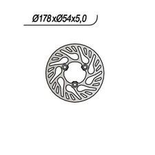 Disque De Frein Avant Droit NG