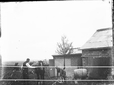 41.  bisseuil   TRAITEMENT DES VIGNES    PLAQUE ORIGINALE( traits  antie copie )