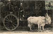 CPA AK VIETNAM Charette a Boeufs (212630)