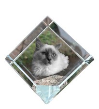 Sacré de Birmanie - Kristallwürfel Avec Katzenbild, Image de Cheval En Cristal,