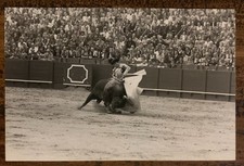 Photo - photographie - Curro