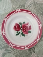 ASSIETTE ANCIENNE DIGOIN SARREGUEMINES CIBON D. 22.5cm ANTIQUE FRENCH PLATE - 3