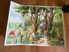 AFFICHE SCOLAIRE CUEILLETTE DES CHAMPIGNONS/ HÔPITAL Tableaux élocution